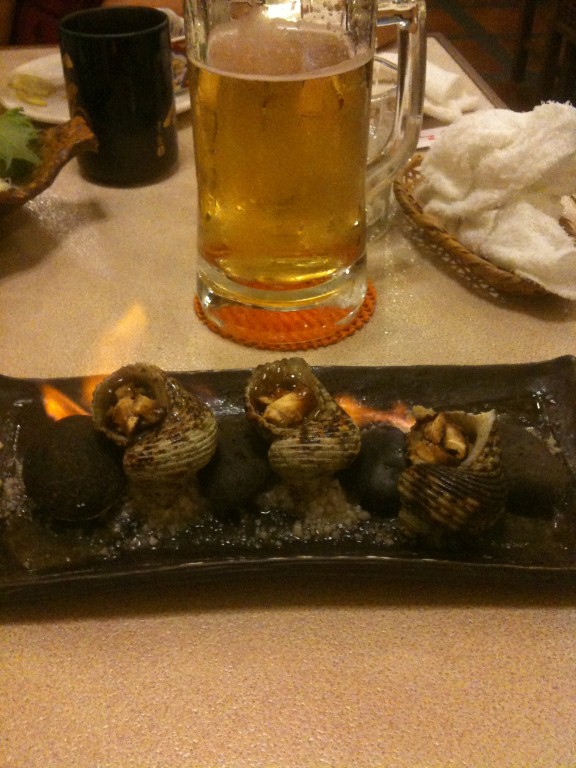 new-pictures-austria-2010-096